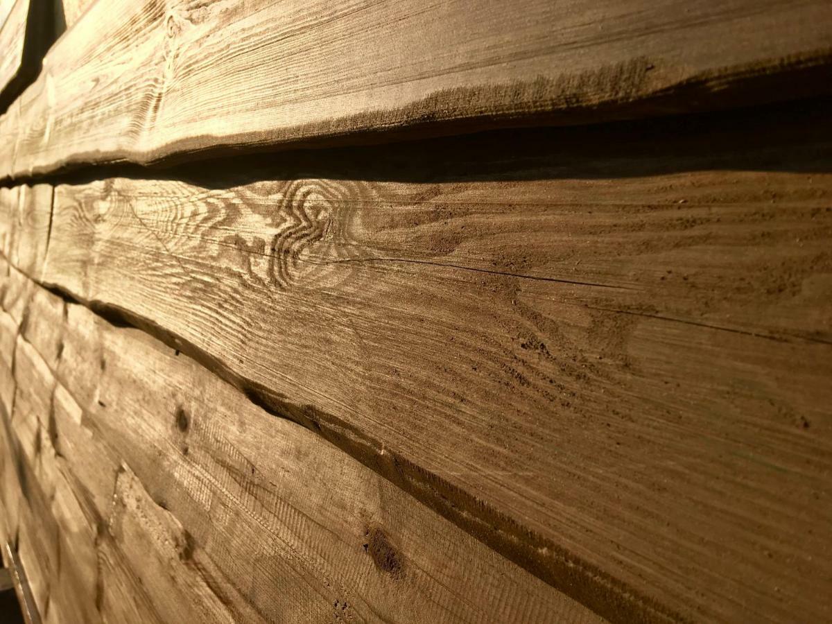 Holzhaus Trollbluemchen Am Wald Und See Neuruppin Exteriér fotografie