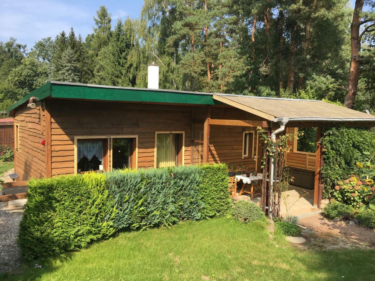 Holzhaus Trollbluemchen Am Wald Und See Neuruppin Exteriér fotografie